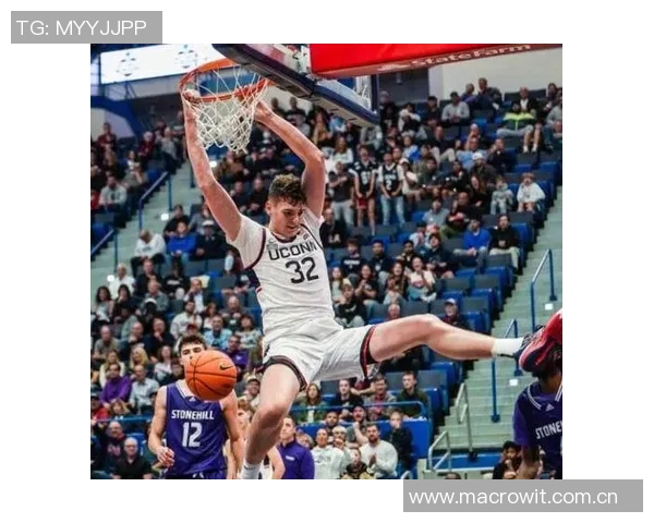 老将风采再现霍勒迪与杨瀚森联手绝杀克林根精彩瞬间回顾