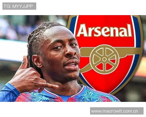 奥卡福进球瞬间意外出现沙滩球引发热刺球迷热议