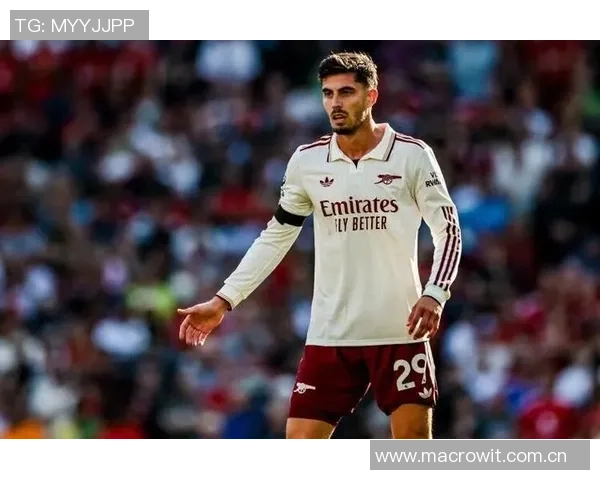 哈弗茨力争本月复出阿森纳将谨慎制定复出计划