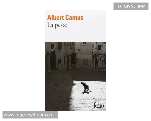 穆斯卡特西行的深度解析与流浪者的三顾茅庐之路探讨 穆斯卡特西行的深度解析与流浪者的三顾茅庐之路探讨